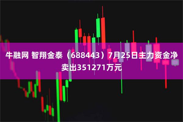 牛融网 智翔金泰（688443）7月25日主力资金净卖出351271万元