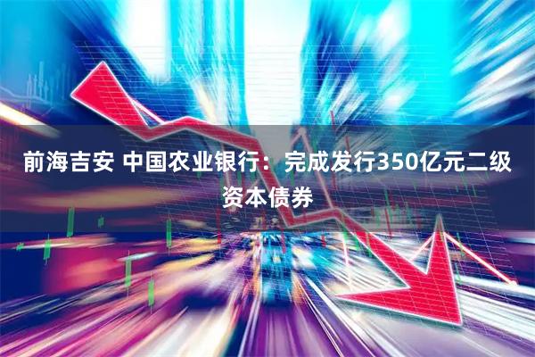 前海吉安 中国农业银行：完成发行350亿元二级资本债券