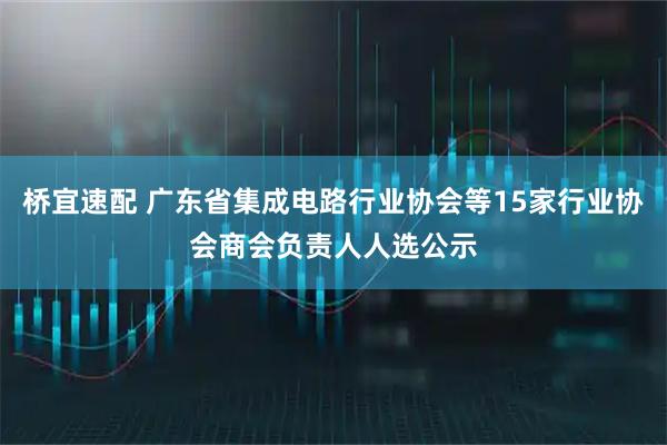 桥宜速配 广东省集成电路行业协会等15家行业协会商会负责人人选公示