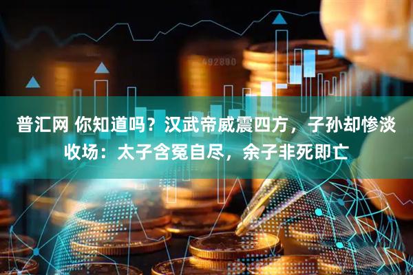 普汇网 你知道吗？汉武帝威震四方，子孙却惨淡收场：太子含冤自尽，余子非死即亡