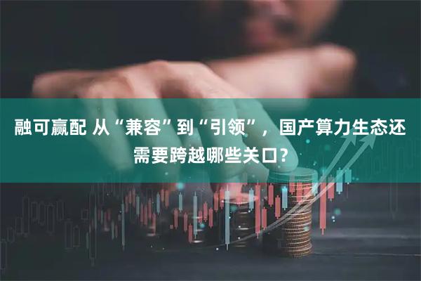 融可赢配 从“兼容”到“引领”,国产算力生态还需要跨越哪些关口?